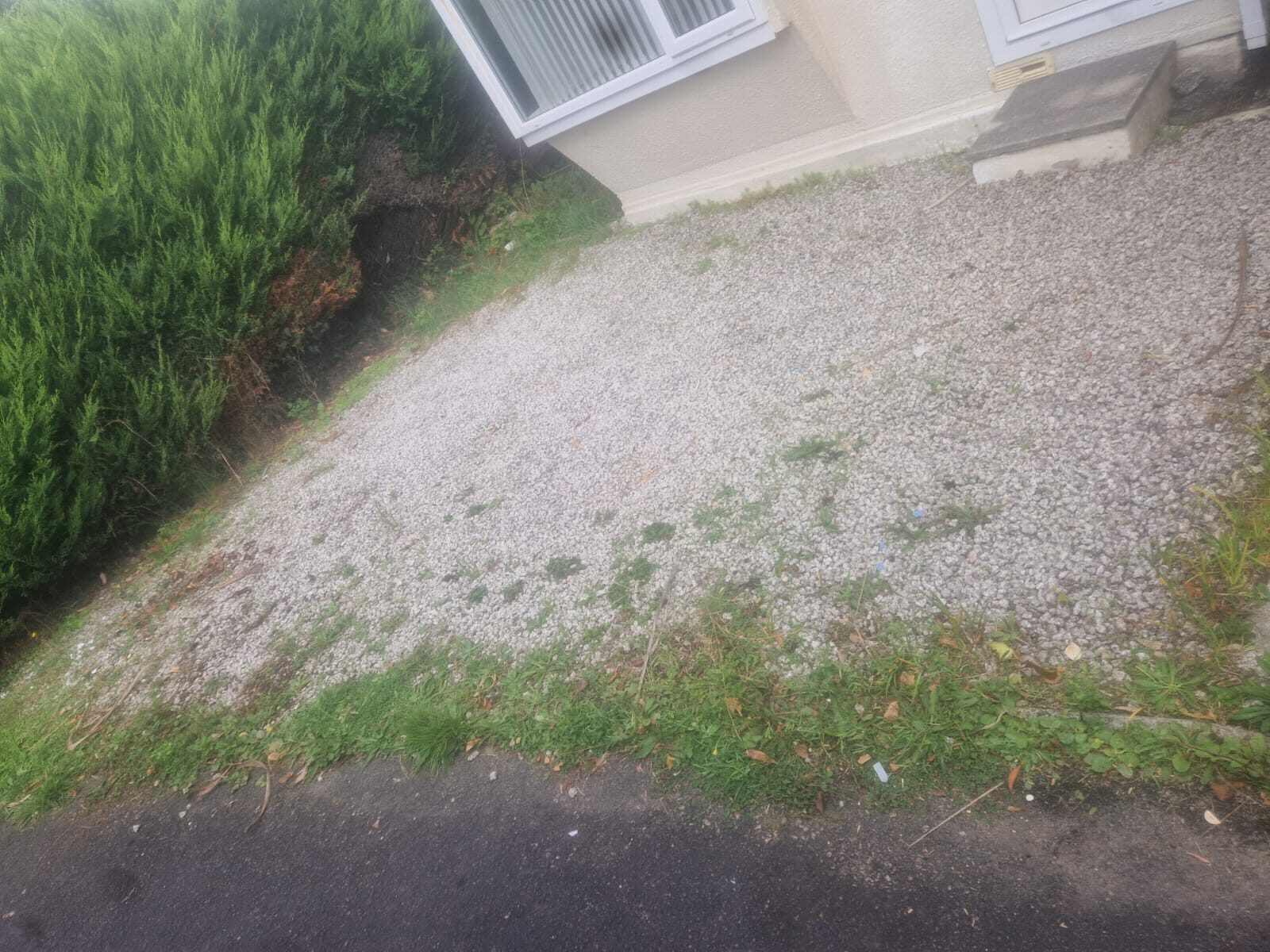 Sidmouth garden cleared and tidy after professional house clearance